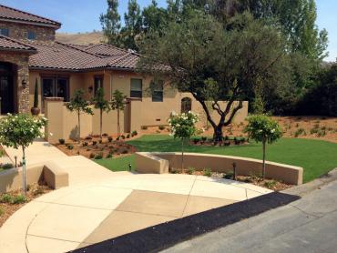 Artificial Grass Photos: Synthetic Lawn Smoketown, Pennsylvania Paver Patio, Front Yard