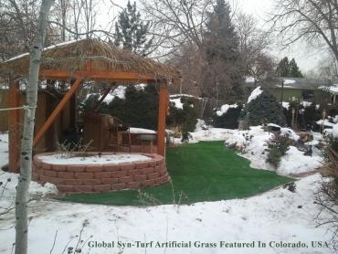 Synthetic Lawn Springfield, Pennsylvania Home And Garden, Backyards artificial grass