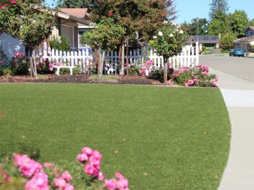 Artificial Grass Photos: Synthetic Lawn Tannersville, Pennsylvania Lawn And Garden, Front Yard Landscape Ideas