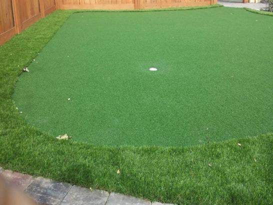 Artificial Grass Photos: Synthetic Lawn Wanamie, Pennsylvania Home Putting Green