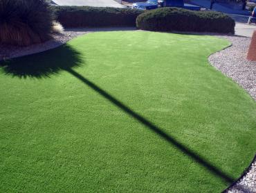 Artificial Grass Photos: Synthetic Turf Alsace Manor, Pennsylvania Landscaping Business, Small Front Yard Landscaping