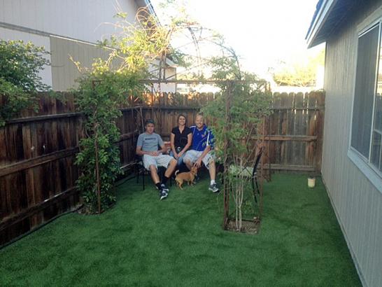 Artificial Grass Photos: Synthetic Turf Aristes, Pennsylvania Pictures Of Dogs, Backyard Makeover