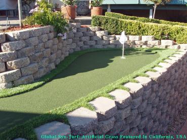 Synthetic Turf Bala Cynwyd, Pennsylvania Putting Green Carpet, Backyard Makeover artificial grass