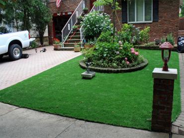 Artificial Grass Photos: Synthetic Turf Cementon, Pennsylvania, Front Yard Landscaping Ideas