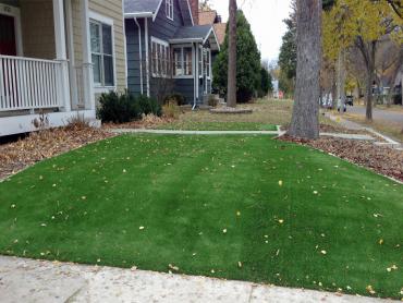 Artificial Grass Photos: Synthetic Turf Dryville, Pennsylvania Lawns, Front Yard