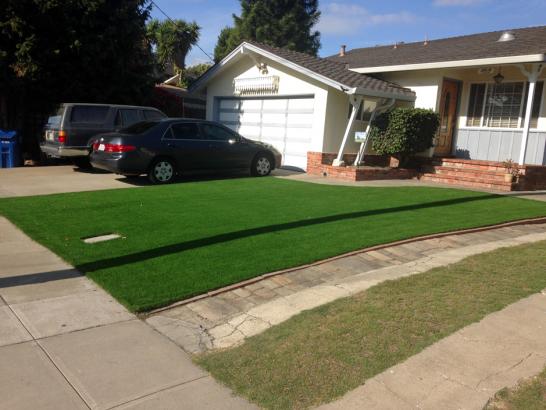 Artificial Grass Photos: Synthetic Turf Emerald Lakes, Pennsylvania Lawn And Garden, Landscaping Ideas For Front Yard