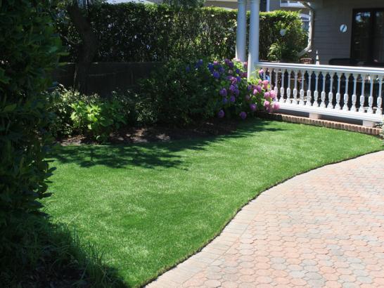 Artificial Grass Photos: Synthetic Turf Gilberton, Pennsylvania Landscaping, Front Yard Landscape Ideas