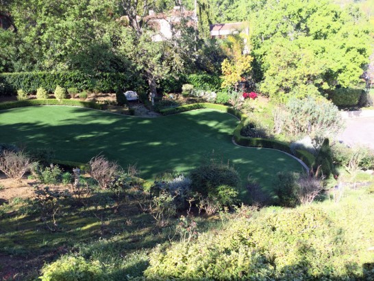 Artificial Grass Photos: Synthetic Turf Lansdale, Pennsylvania Design Ideas, Beautiful Backyards