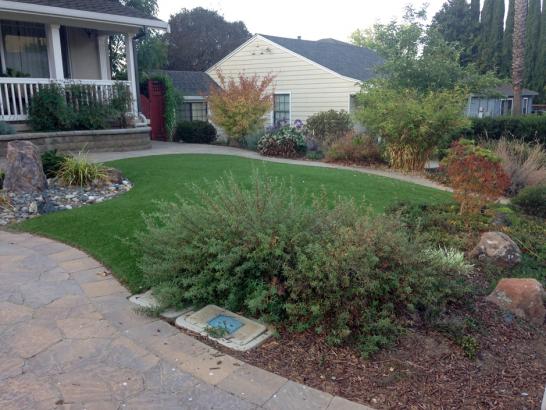 Artificial Grass Photos: Synthetic Turf Nescopeck, Pennsylvania City Landscape, Front Yard Landscape Ideas