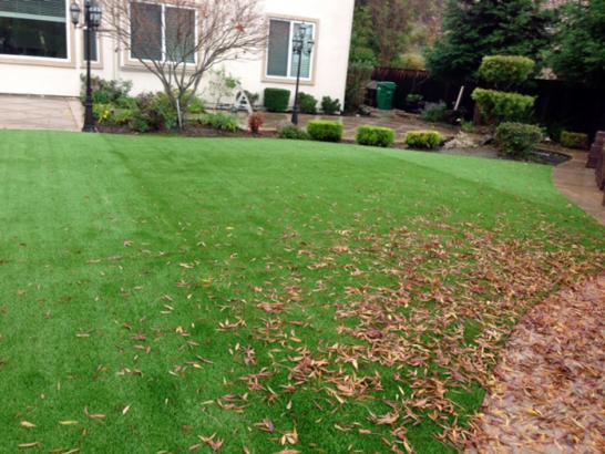 Artificial Grass Photos: Synthetic Turf Rutherford, Pennsylvania Design Ideas, Backyard Landscaping
