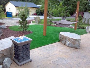 Artificial Grass Photos: Synthetic Turf Stevens, Pennsylvania Landscaping Business, Front Yard Ideas