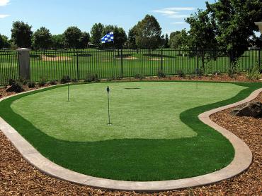 Artificial Grass Photos: Synthetic Turf Stouchsburg, Pennsylvania Landscape Rock, Backyard Landscaping Ideas