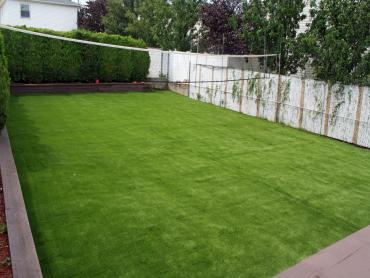 Artificial Grass Photos: Synthetic Turf Supplier Bowmansville, Pennsylvania City Landscape, Backyard Ideas