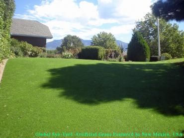 Artificial Grass Photos: Synthetic Turf Supplier Colwyn, Pennsylvania Dog Pound, Backyard Landscaping Ideas