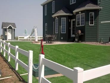 Artificial Grass Photos: Synthetic Turf Supplier Cornwells Heights, Pennsylvania, Landscaping Ideas For Front Yard