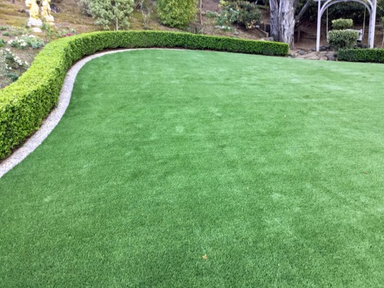 Artificial Grass Photos: Synthetic Turf Supplier Hulmeville, Pennsylvania City Landscape, Backyard