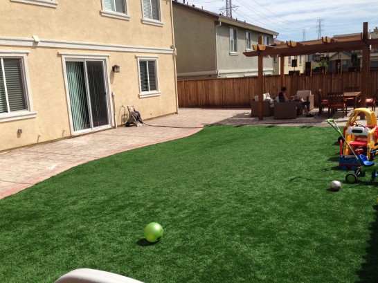 Artificial Grass Photos: Synthetic Turf Supplier Kennett Square, Pennsylvania Landscaping, Beautiful Backyards