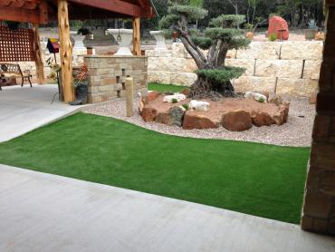 Artificial Grass Photos: Synthetic Turf Supplier Lenhartsville, Pennsylvania Landscape Design, Backyard Garden Ideas