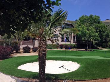 Artificial Grass Photos: Synthetic Turf Supplier Lima, Pennsylvania Landscape Design, Front Yard Ideas