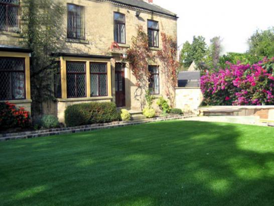 Artificial Grass Photos: Synthetic Turf Supplier Lykens, Pennsylvania Design Ideas, Landscaping Ideas For Front Yard