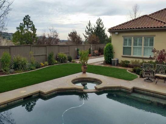 Artificial Grass Photos: Synthetic Turf Supplier Millbourne, Pennsylvania Landscaping, Backyard Makeover