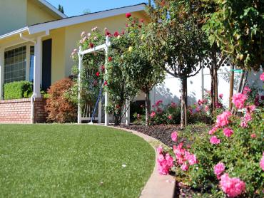 Artificial Grass Photos: Synthetic Turf Supplier New Columbus, Pennsylvania Garden Ideas, Front Yard Landscape Ideas