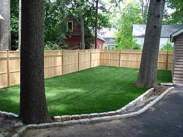 Artificial Grass Photos: Synthetic Turf Supplier Newmanstown, Pennsylvania Landscape Photos, Backyards