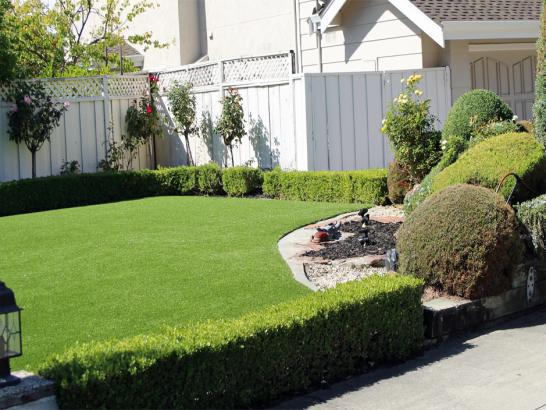 Artificial Grass Photos: Synthetic Turf Supplier Nuangola, Pennsylvania Backyard Playground, Front Yard Design