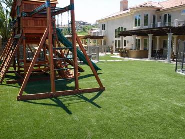 Artificial Grass Photos: Synthetic Turf Supplier Royersford, Pennsylvania Roof Top, Beautiful Backyards