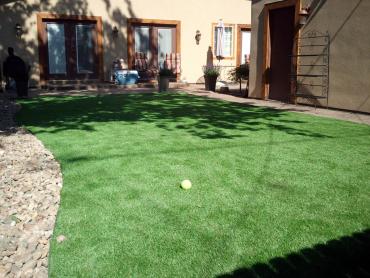 Artificial Grass Photos: Synthetic Turf Supplier Spring Ridge, Pennsylvania Landscape Rock, Beautiful Backyards