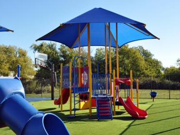 Synthetic Turf Supplier Tullytown, Pennsylvania Indoor Playground, Recreational Areas artificial grass