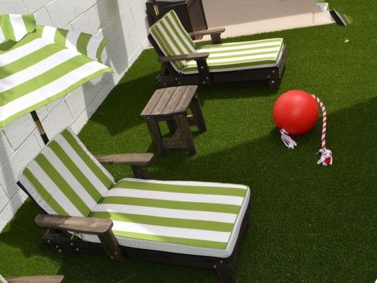 Artificial Grass Photos: Synthetic Turf Thorndale, Pennsylvania Lawn And Garden, Backyard Makeover