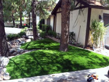 Artificial Grass Photos: Synthetic Turf Trooper, Pennsylvania, Front Yard Landscaping