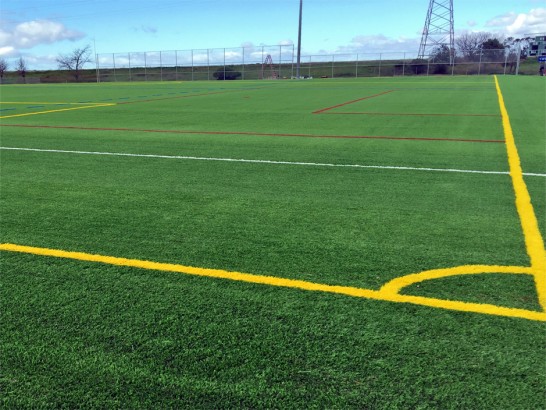 Artificial Grass Photos: Synthetic Turf Wayne, Pennsylvania Stadium