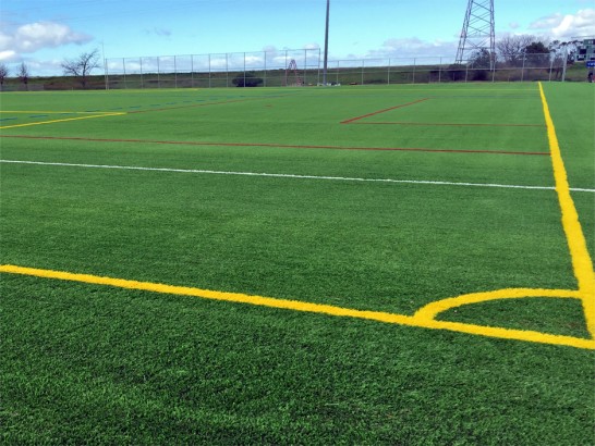 Artificial Grass Photos: Synthetic Turf Wayne, Pennsylvania Stadium