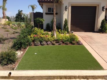 Artificial Grass Photos: Synthetic Turf Wernersville, Pennsylvania Landscape Ideas, Front Yard Design