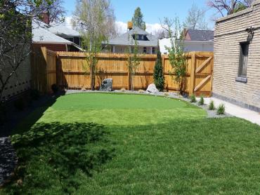 Artificial Grass Photos: Synthetic Turf West Chester, Pennsylvania How To Build A Putting Green, Backyard Designs