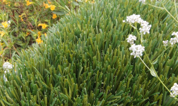 Double S-72 syntheticgrass Artificial Grass Philadelphia Pennsylvania