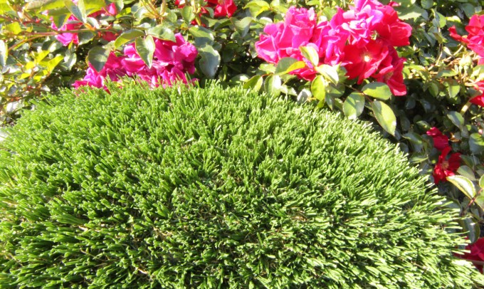 Hollow Blade-73 syntheticgrass Artificial Grass Philadelphia Pennsylvania