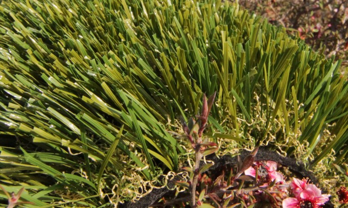Double S-61 syntheticgrass Artificial Grass Philadelphia Pennsylvania