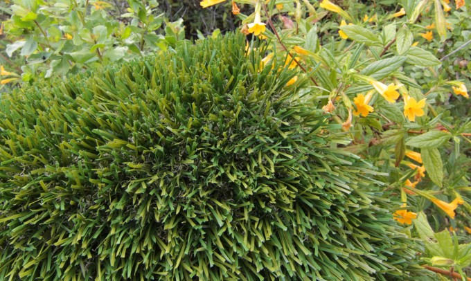 Double S-72 syntheticgrass Artificial Grass Philadelphia Pennsylvania