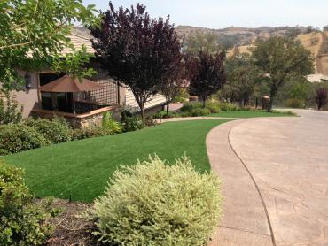 Artificial Grass Photos: Turf Grass Atglen, Pennsylvania Landscaping Business, Front Yard