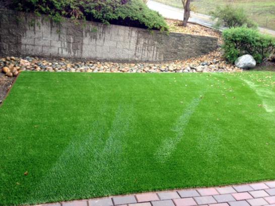 Artificial Grass Photos: Turf Grass Birchwood Lakes, Pennsylvania Garden Ideas, Front Yard