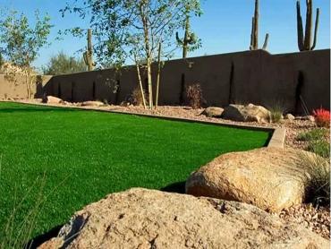 Artificial Grass Photos: Turf Grass Cross Roads, Pennsylvania Landscape Rock, Backyard Ideas