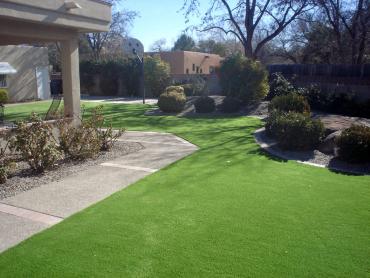 Artificial Grass Photos: Turf Grass Eddington, Pennsylvania Landscape Ideas, Front Yard Landscaping Ideas