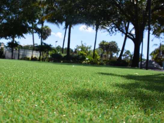 Artificial Grass Photos: Turf Grass Fairless Hills, Pennsylvania Roof Top, Recreational Areas