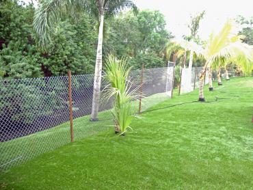 Artificial Grass Photos: Turf Grass Intercourse, Pennsylvania Lawn And Landscape, Backyard Garden Ideas