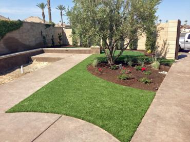 Artificial Grass Photos: Turf Grass Limerick, Pennsylvania Design Ideas, Front Yard Design