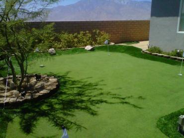 Artificial Grass Photos: Turf Grass Mohrsville, Pennsylvania Putting Green Turf, Backyard Ideas