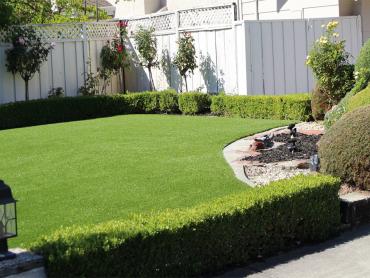 Artificial Grass Photos: Turf Grass Rheems, Pennsylvania Landscaping, Front Yard Landscaping Ideas